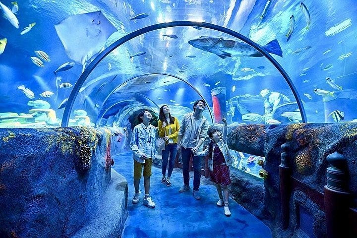 2023 Private One-Day Tour to Tianzhu Mountain Happy World from Xiamen