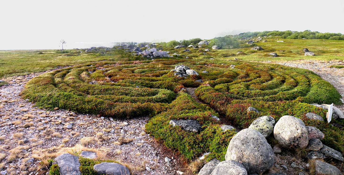 Labyrinths have long been spaces for reflection among plantlife. This is one of many found on the Solovetsky Islands, thought to be 2500 years old (Vitold Muratov, 2013)