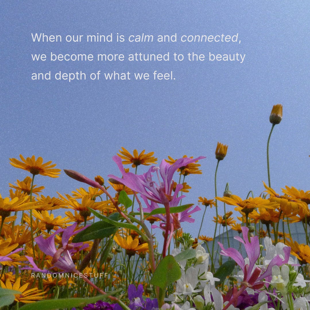 When our mind is calm and connected,we become more attuned to the beautyand depth of what we feel.