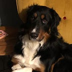 Buy Strength, Sell Weakness