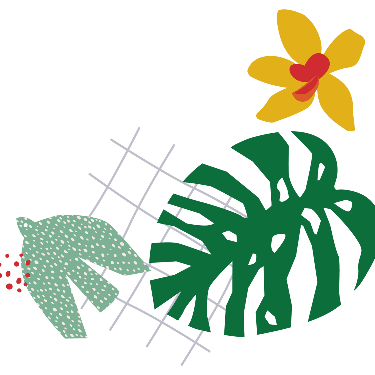 Notes from a quiet life