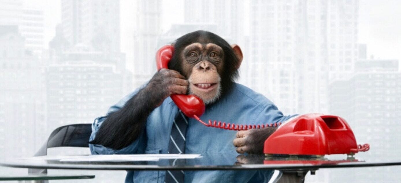 Monkey Business: How These Ape-Rooted Idioms Swing Through Modern Language  -By Isaac Asabor - Opinion Nigeria