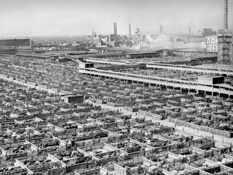 Industrialization of Agriculture | Food System Primer