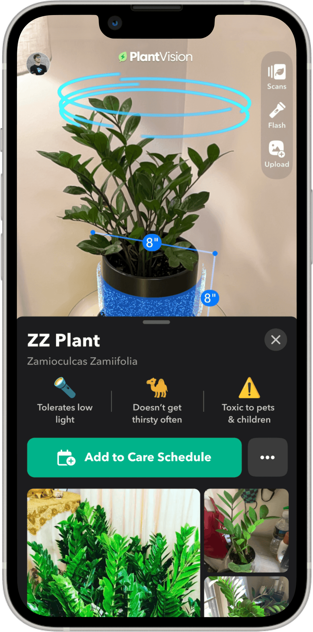 Greg - Plant Identifier & Care