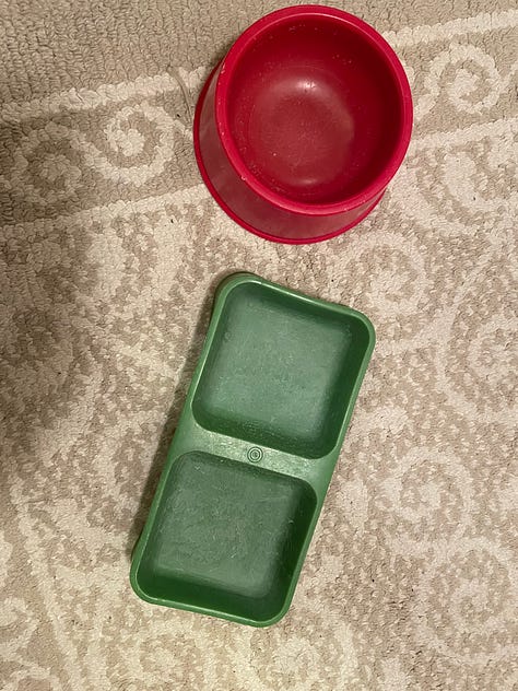 A selection of items I purged from my parents' home: lentils and canned goods, frozen biscotti ca. 2012, krumkake from long ago, cat dishes purchased ca 1972, peanut butter and cigar tins, an electric teakettle that had been decommissioned years and years ago