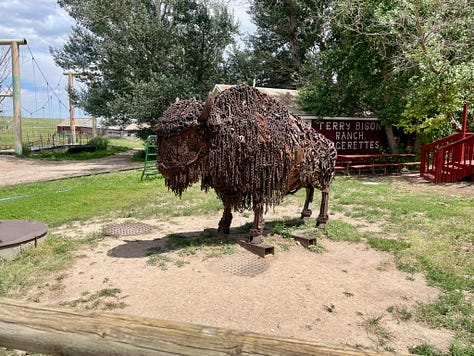 My photos from the campgrounds of the many animals.