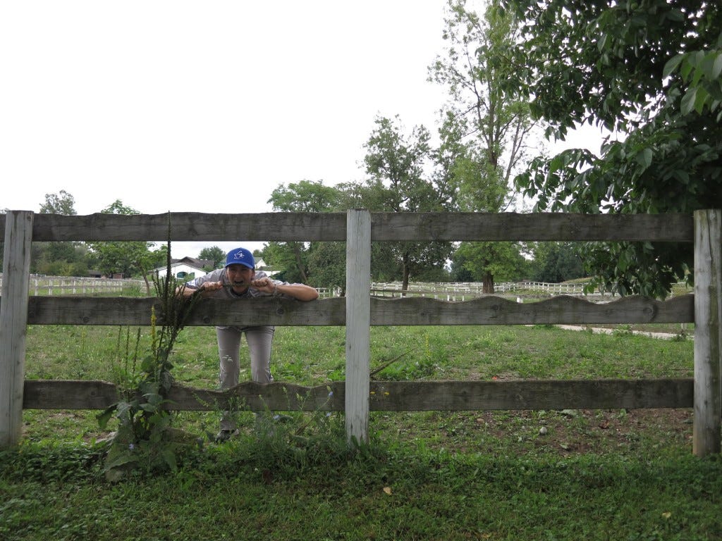 Suzanna aka Yentl, 1st Base Coach.