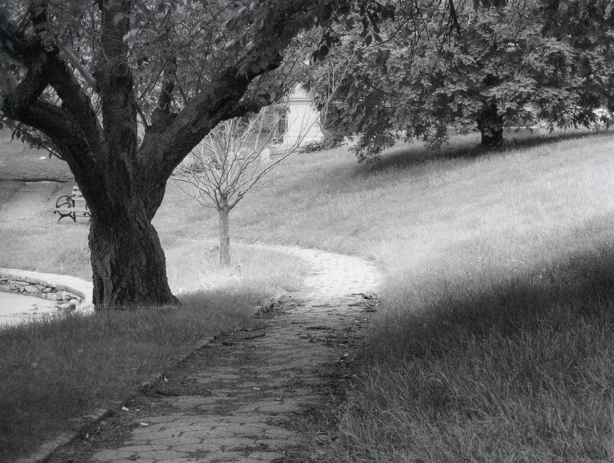 'How to Understand the Light on a Landscape' (2005) by Pablo Helguera