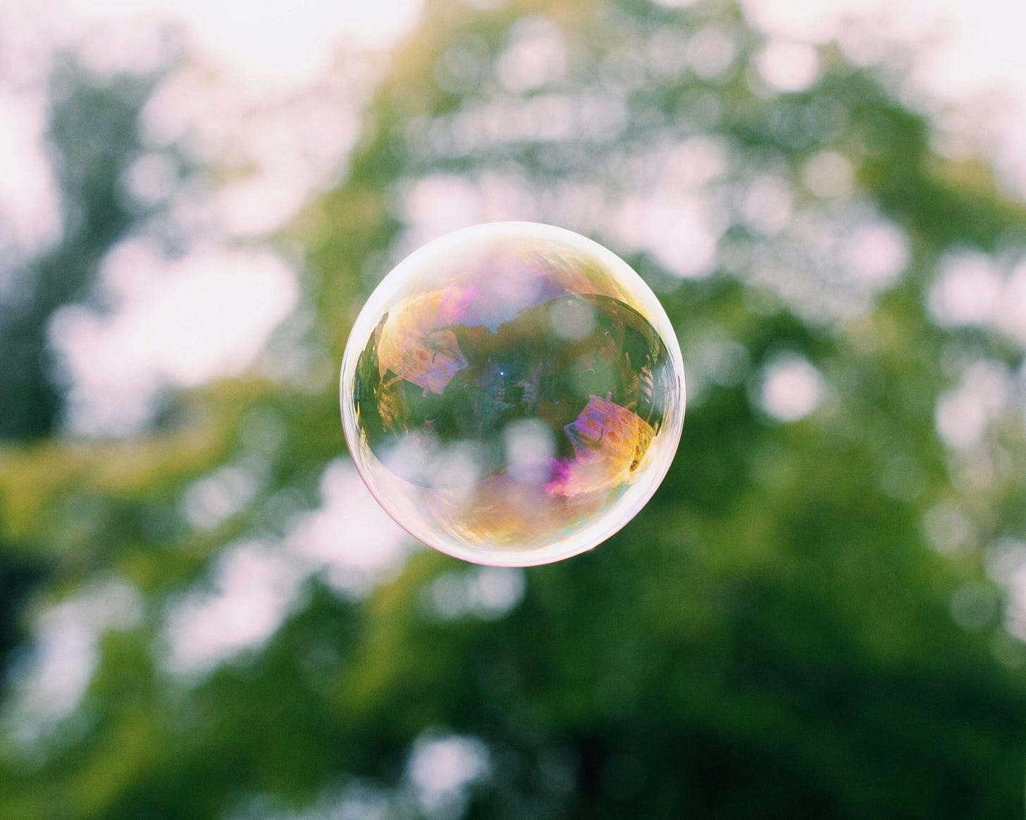 Bubble reflection with blurred trees. Bubble reflection with blurred trees.