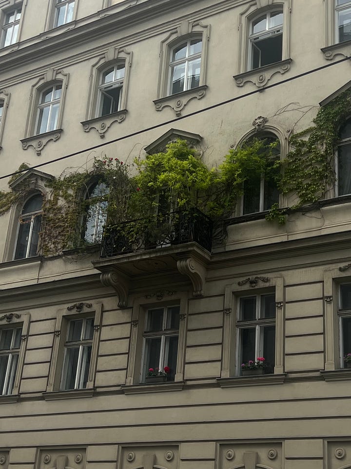 church in front of reflecting pool // old building with plants growing on it