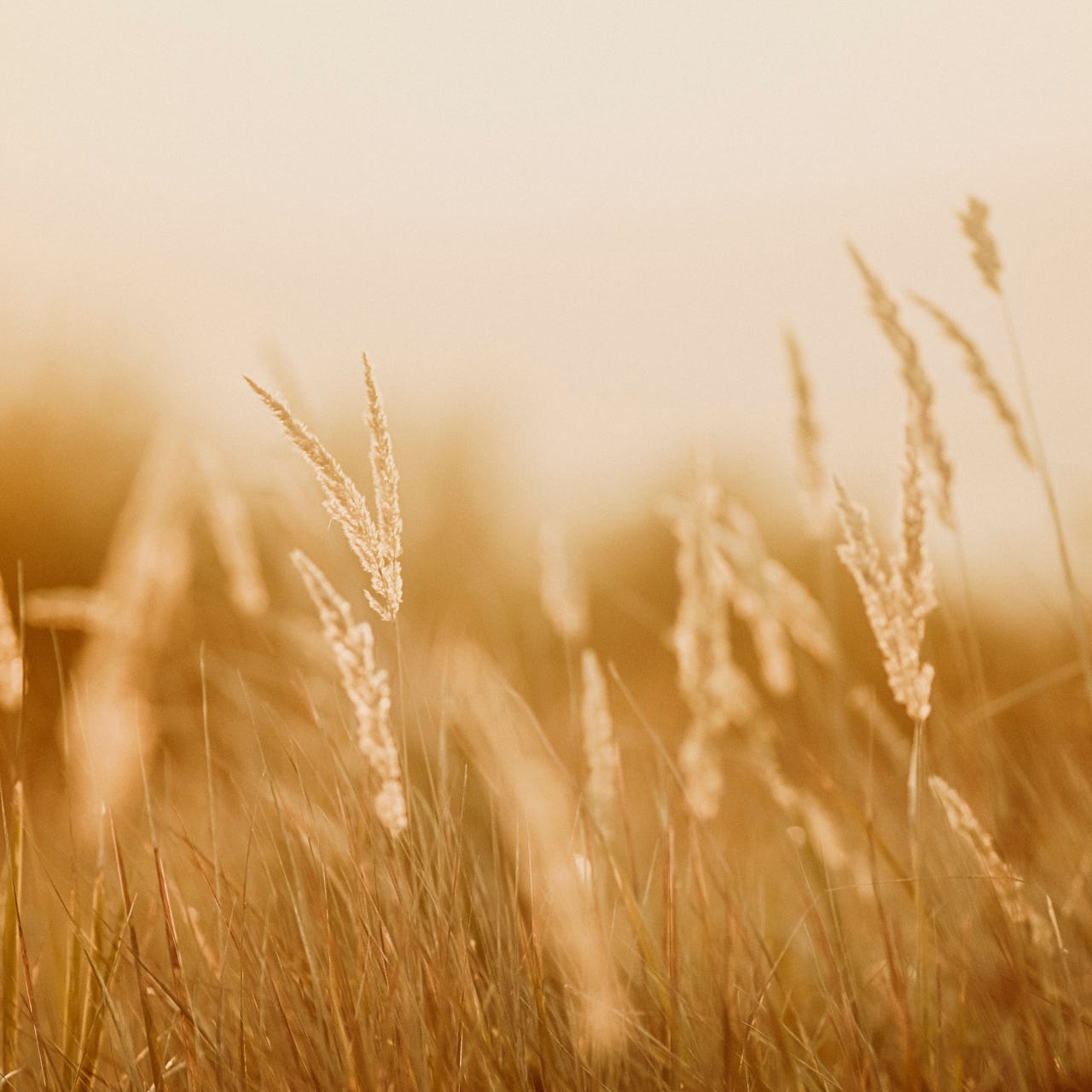 Oliver Bush / Photography