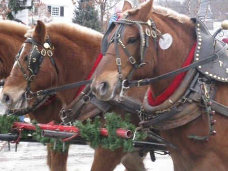 Wassail Parade in Woodstock Vermont 2013 | Dream New England