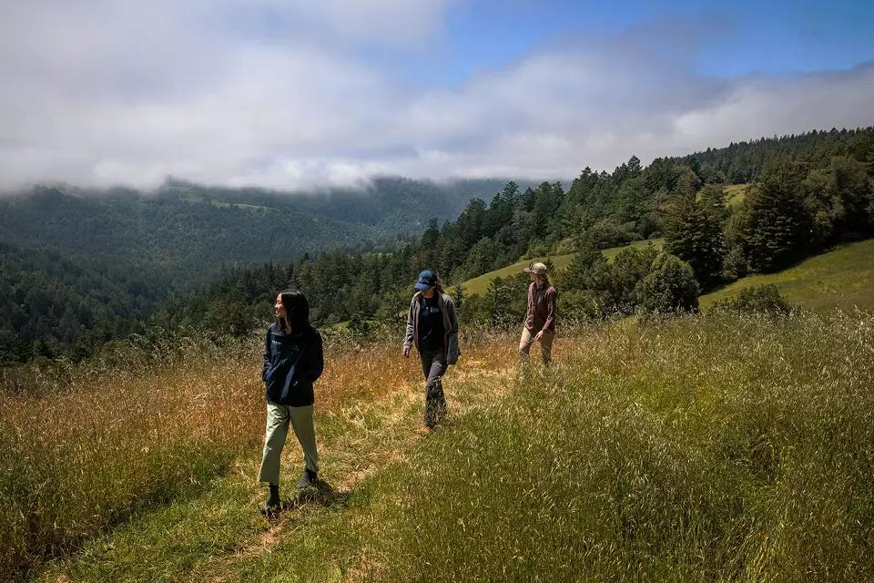 A photo of three people walking on a trail in Sonoma County