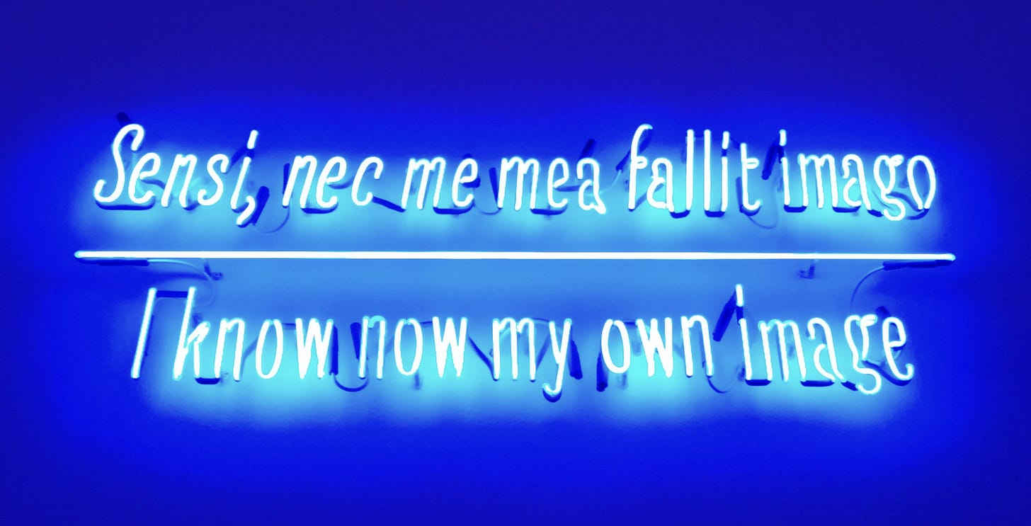 Installation au néon bleu où l'on lit "I know now my own image" en anglais et en latin Installation au néon bleu où l'on lit "I know now my own image" en anglais et en latin