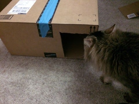 Chase_Cat_Houses Chase_Cat_Houses