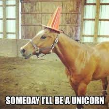Unicorn Memes - Home | Facebook