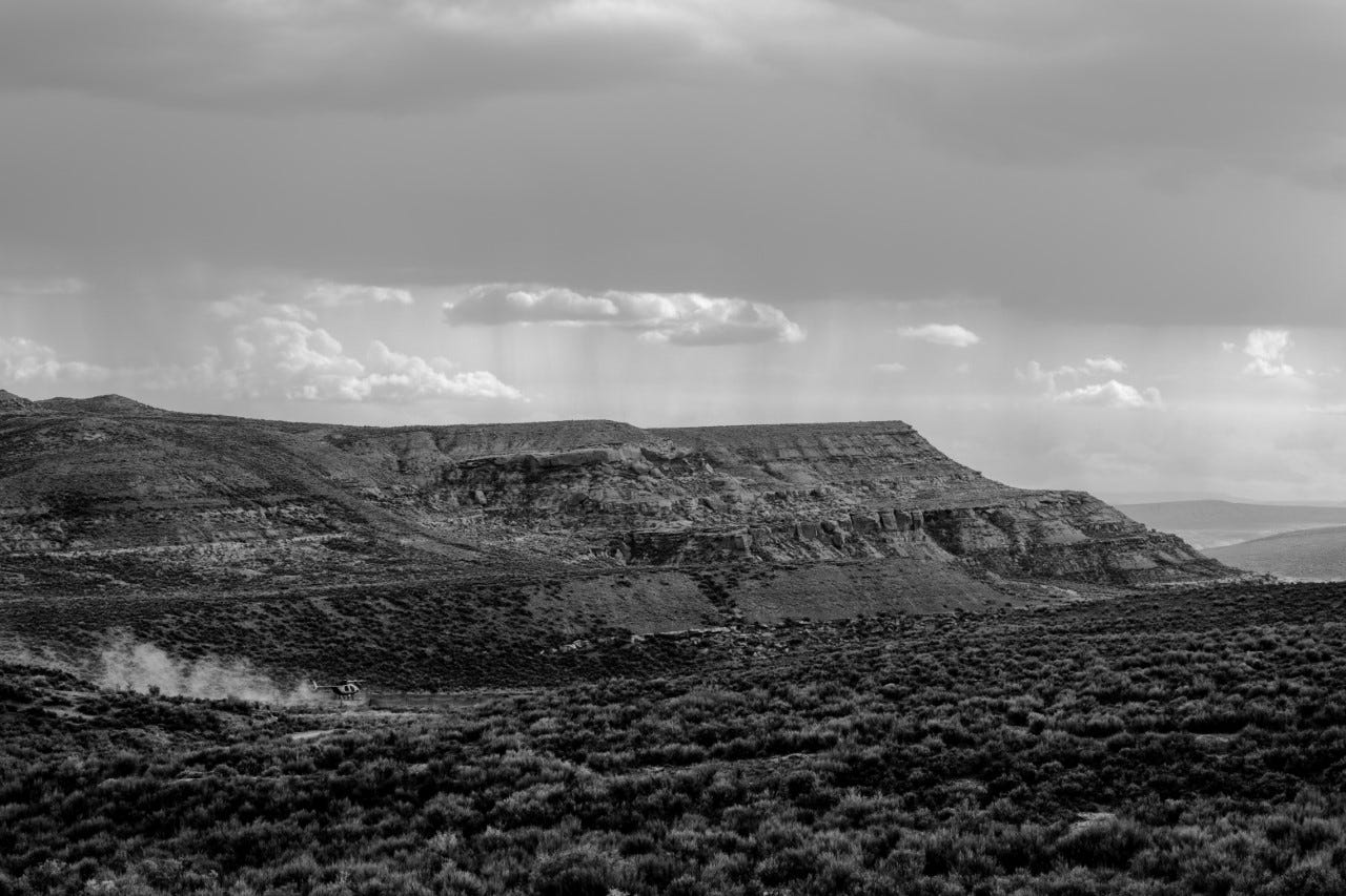 The day ends with the contractor helicopter capturing three more wild horses. The day ends with the contractor helicopter capturing three more wild horses.