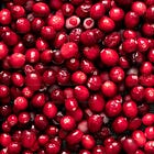 SMALL WINS+: I'M DREAMING OF A DELICIOUS CHRISTMAS