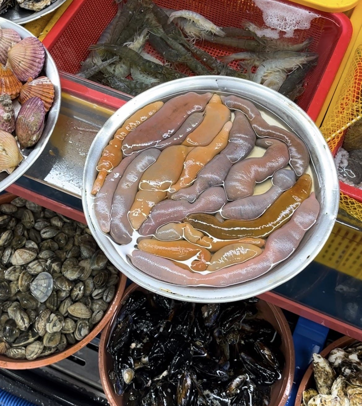seafood in Jagalchi Market, Busan