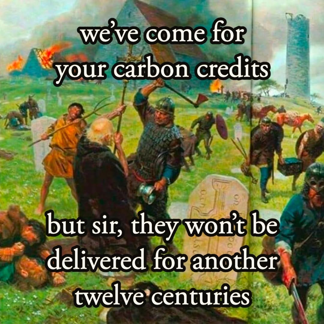 A painting of Vikings raiding a monastery graveyard. Text: "we've come for your carbon credits" / "but sir, they won't be delivered for another twelve centuries".