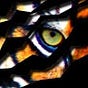 Mae Brussell's avatar