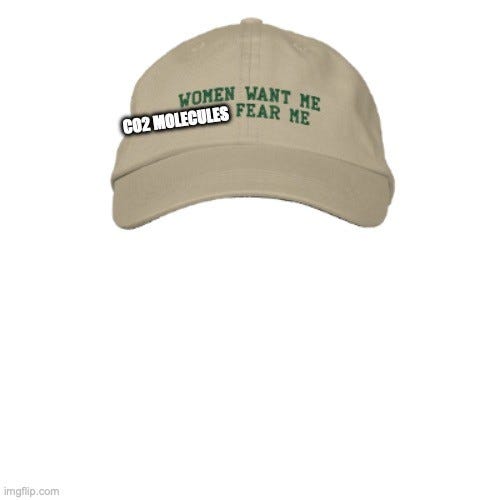 Meme of a khaki baseball cap embroidered in green "WOMEN WANT ME FEAR ME", with a label "CO2 MOLECULES" pasted before "FEAR ME".