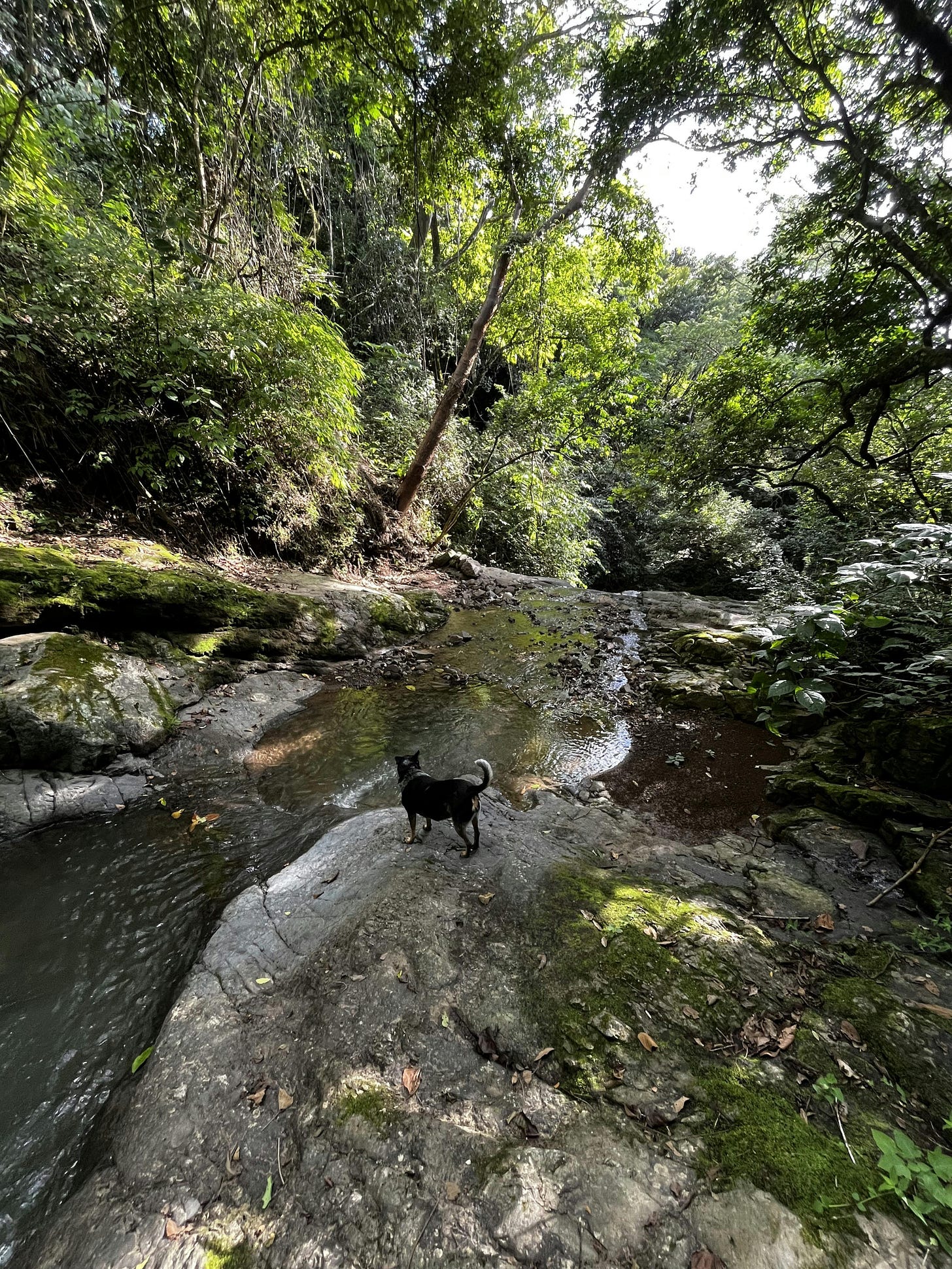 036: Redesign your Ecosystem, Redesign your Life. 036: Redesign your Ecosystem, Redesign your Life.