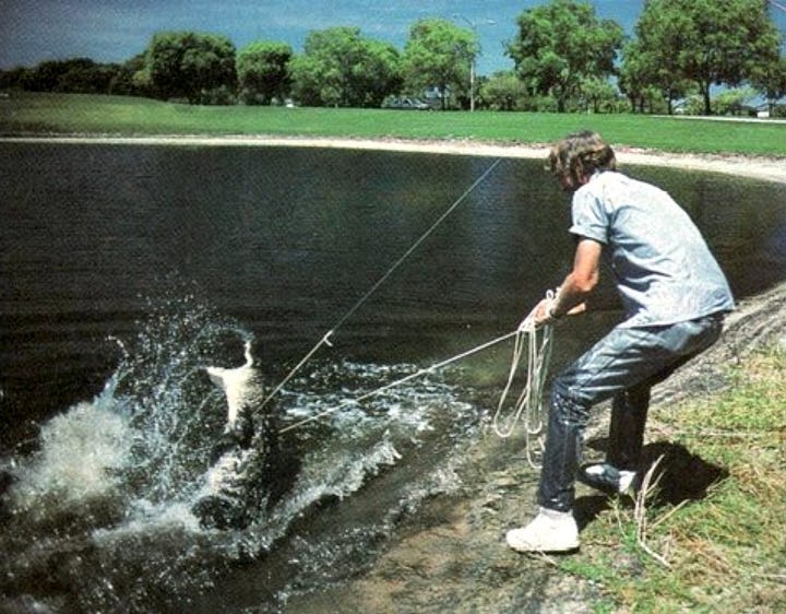 Florida alligator trapper Lee Kramer at work