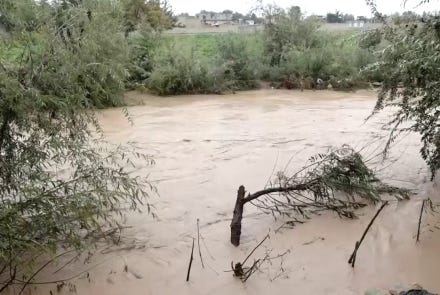 تصویر بندانگشتی