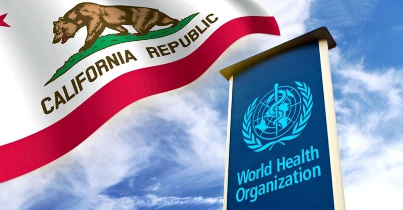 california flag and world health organization sign california flag and world health organization sign