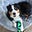 Rhonda Thayer's avatar