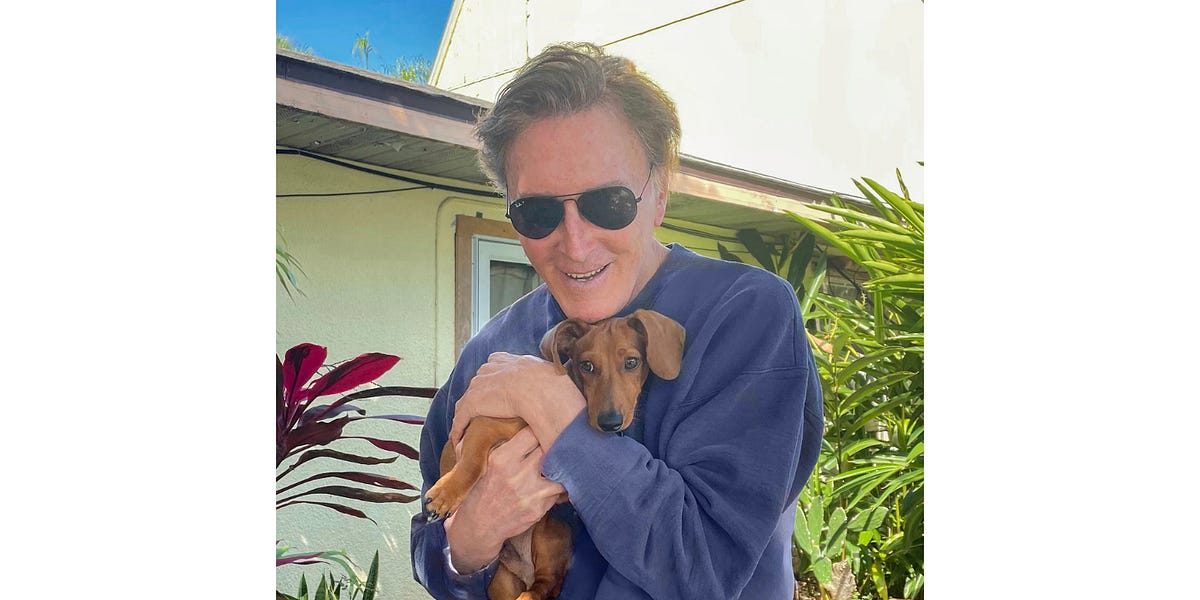 Why We Accept Lies and Reject the Truth