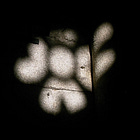 The Light that Stayed