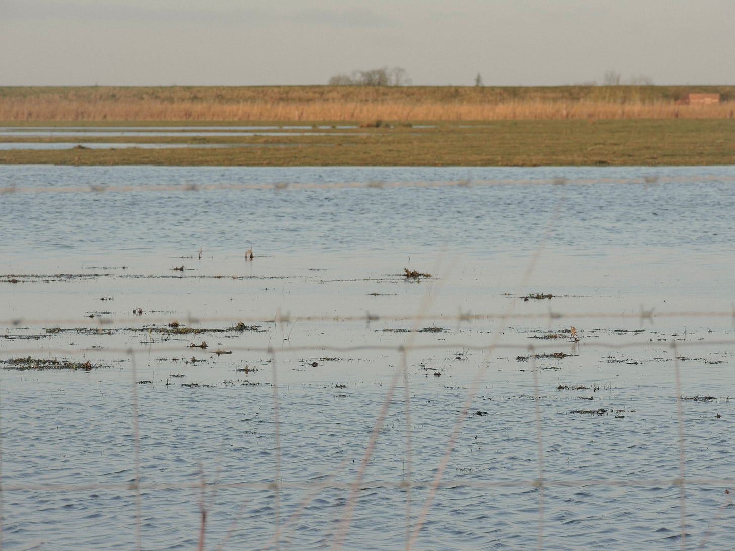 Flooded fens Flooded fens