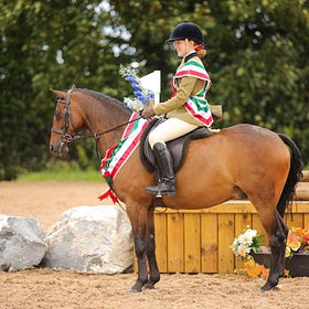 Sun and competitors shine at IPS NA Summer Show