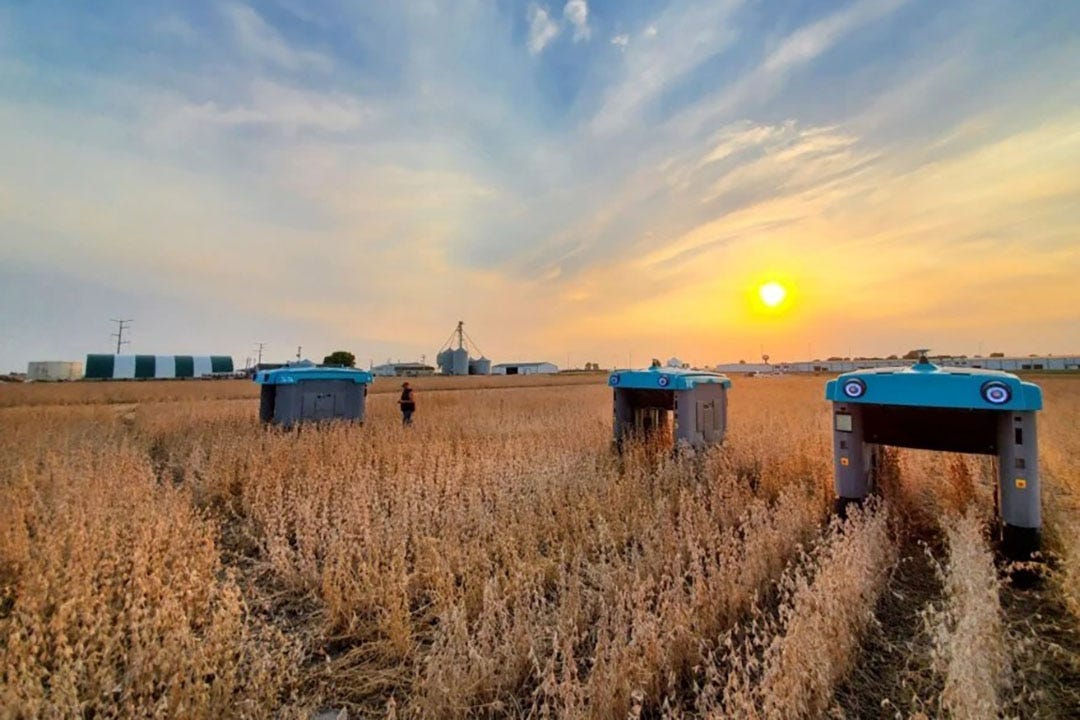 Mineral’s end goal is to create detailed and rich datasets that can be used by farmers across the world to benefit from previously unknown factors in plant growing. - Photo: Mineral