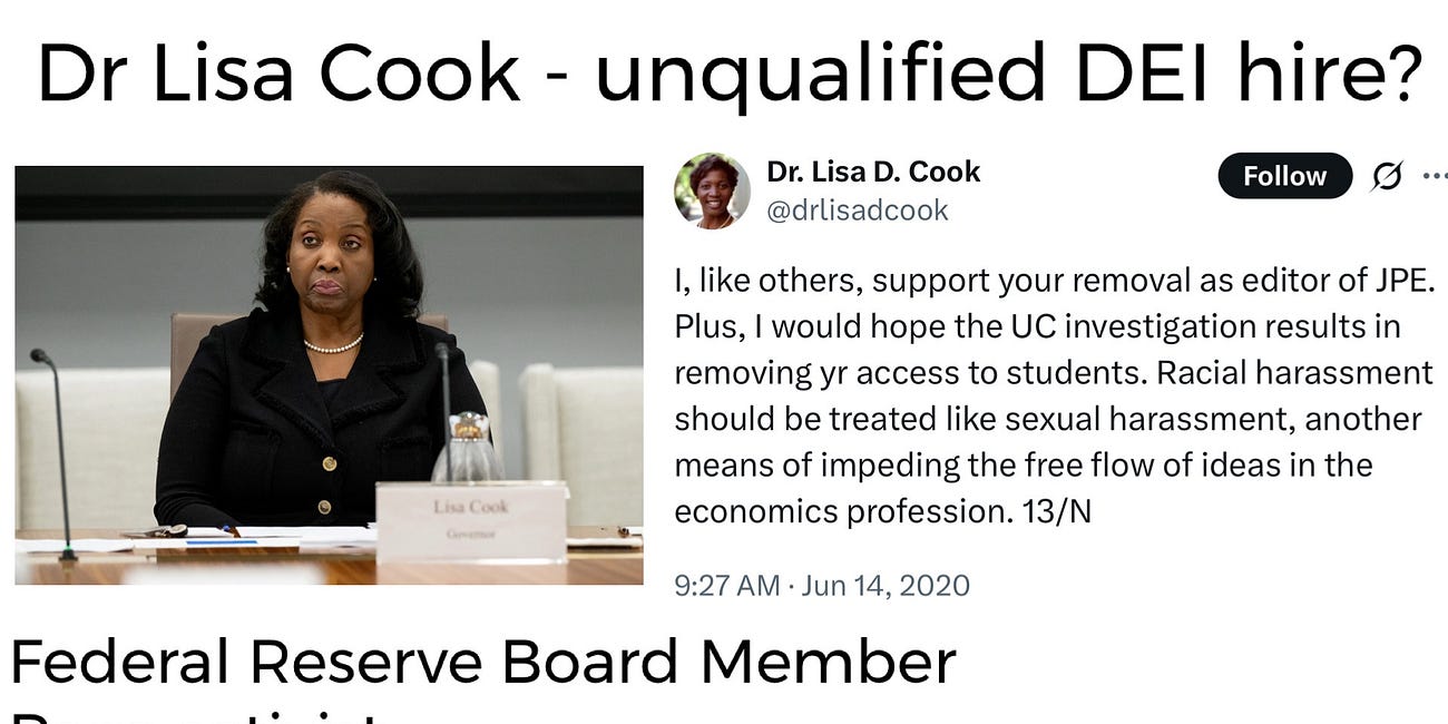 Lisa Cook - Political Race Activist