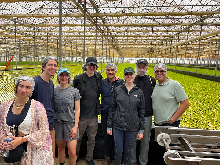 Hydroponic farm visits - Campo Caribe & Technoflora
