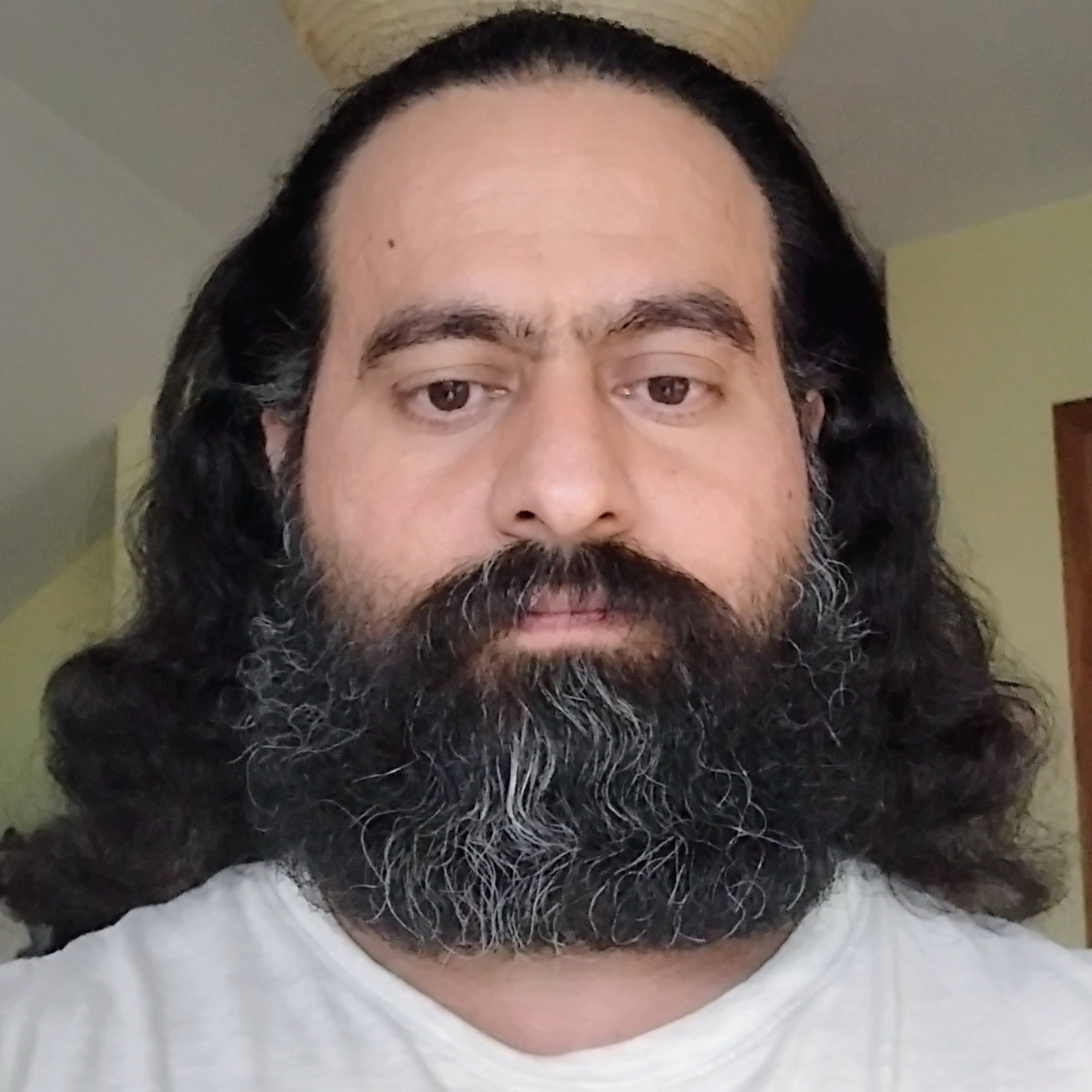 Seied Morteza Mahdavi Nasr