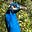 Edward Jones's avatar