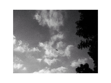 Photos taken using a Kodak M531 compact camera.