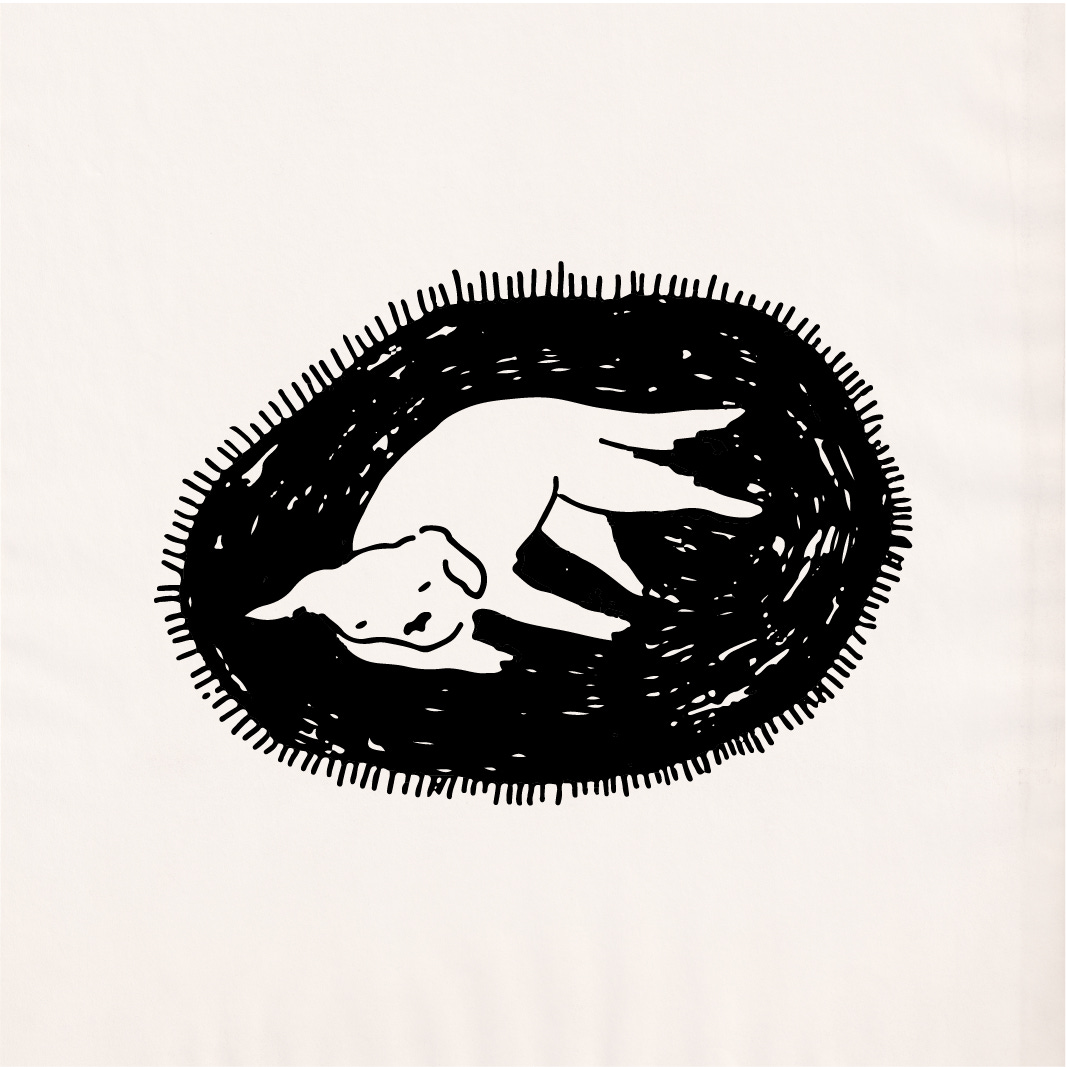 Dog-Eared by Rachel Joan Klein