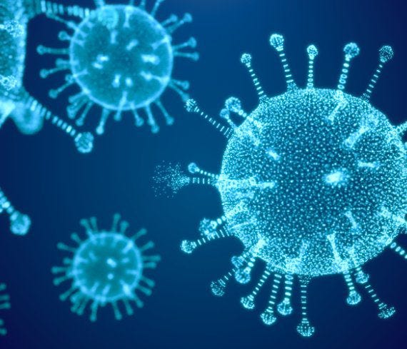 Un virus vu par ordinateur Un virus vu par ordinateur