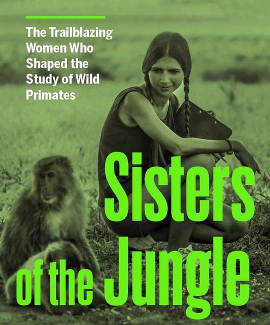 Sisters of the Jungle by Keriann McGoogan