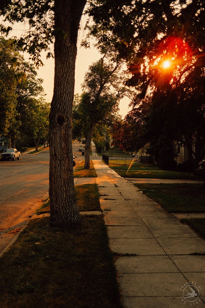 #fuji #fujix100f #fujifilm #filmy #tylerknott #tylerknottgregson #chasersofthelight