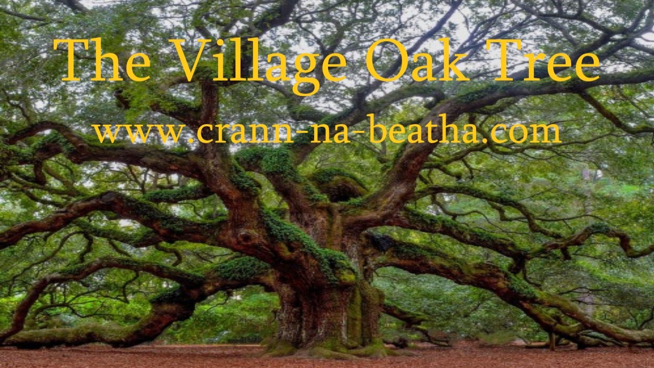 ancient oak tree with The Village Oak Tree logo and my website address at www.crann-na-beatha.com