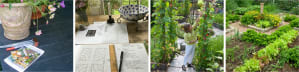 Art of Growing Food