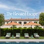 The Elevated Escape's avatar