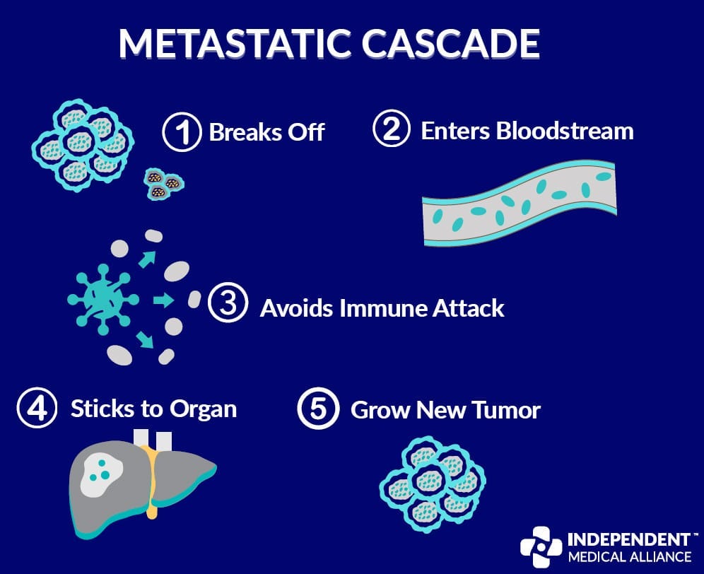 metastatic cascade