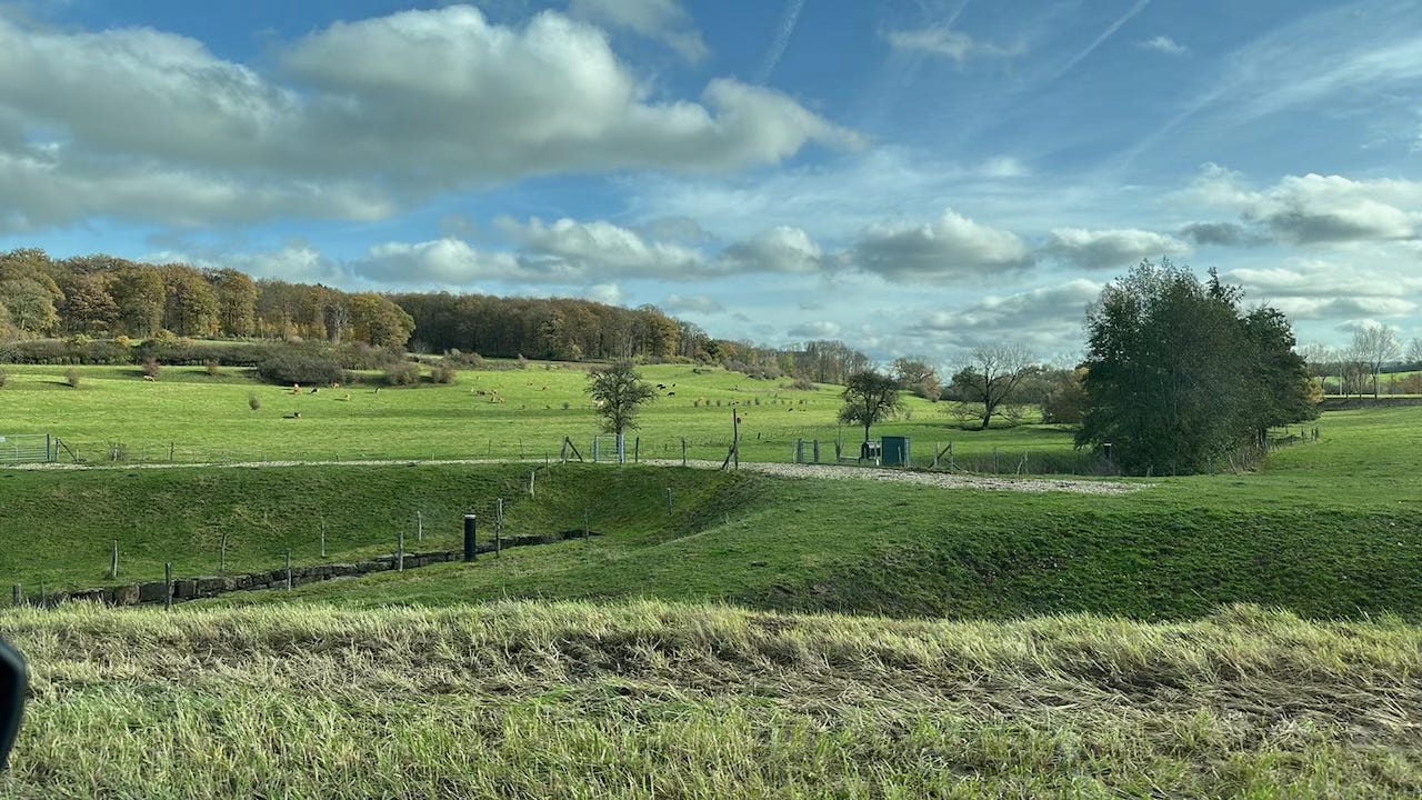 A wide, rolling landscape in Zuid-Limburg under a bright autumn sky. Green fields stretch across gentle hills, dotted with grazing cattle and a few scattered trees with late-fall foliage. A line of woodland in warm brown tones borders the horizon, while fluffy clouds drift across a blue sky. A small fenced area and utility shed sit near the middle ground, adding a rural touch to the peaceful scene.